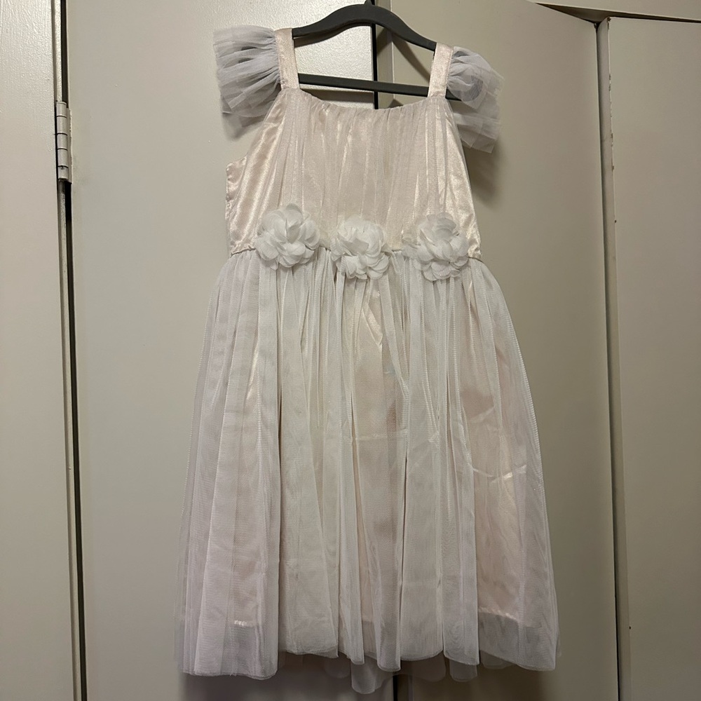 Popatu Blush Tulle Floral Dress